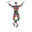 Harlequins