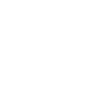 Anthem RC