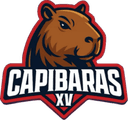 Capibaras Xv